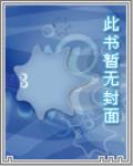 智能芯片